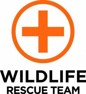 wildliferescueteam